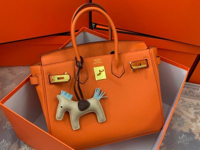 Hermès Birkin Bag Series-153