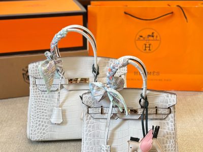 Hermès Birkin Bag Series-159
