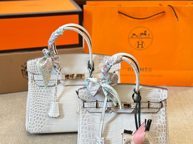 Hermès Birkin Bag Series-159