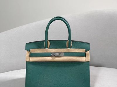 Hermès Birkin Bag Series-169