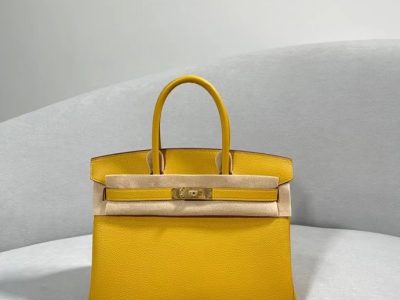 Hermès Birkin Bag Series-171