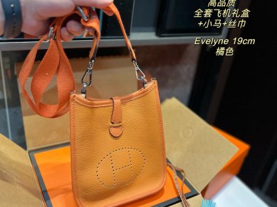 Hermès Evelyne Bag Collection-124