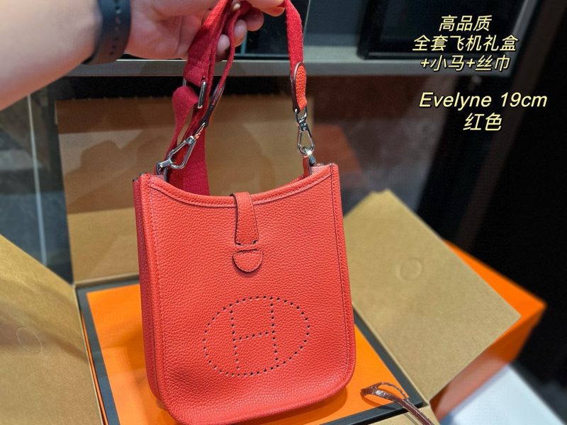 Hermès Evelyne Bag Collection-124