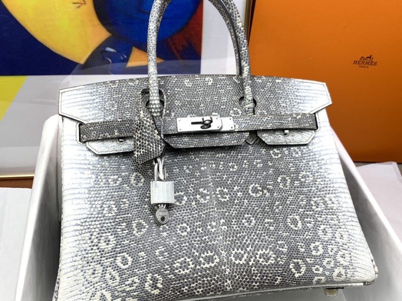 Hermès Birkin Bag Series-222