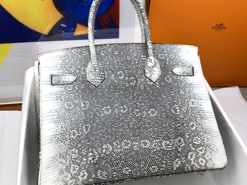 Hermès Birkin Bag Series-222