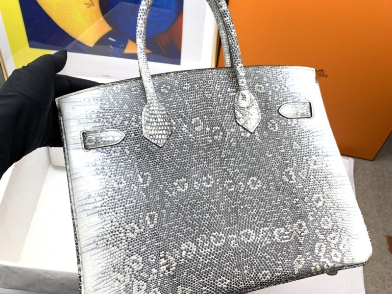 Hermès Birkin Bag Series-222