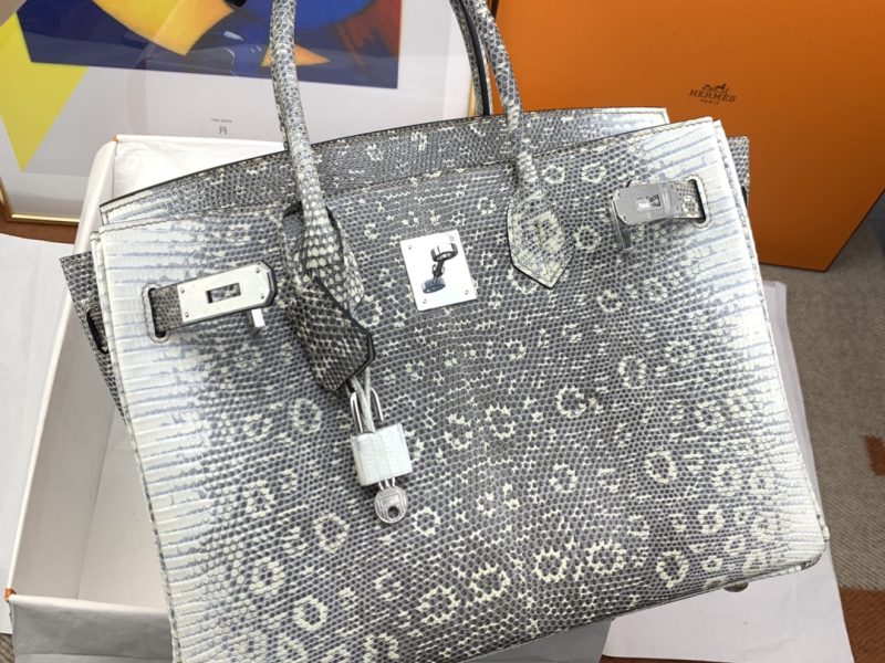 Hermès Birkin Bag Series-222