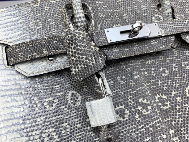 Hermès Birkin Bag Series-222