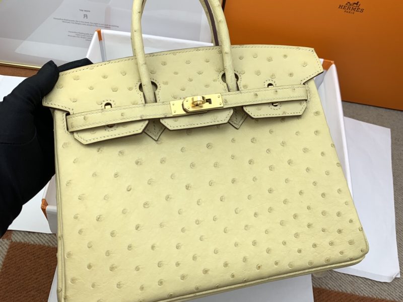 Hermès Birkin Bag Series-118