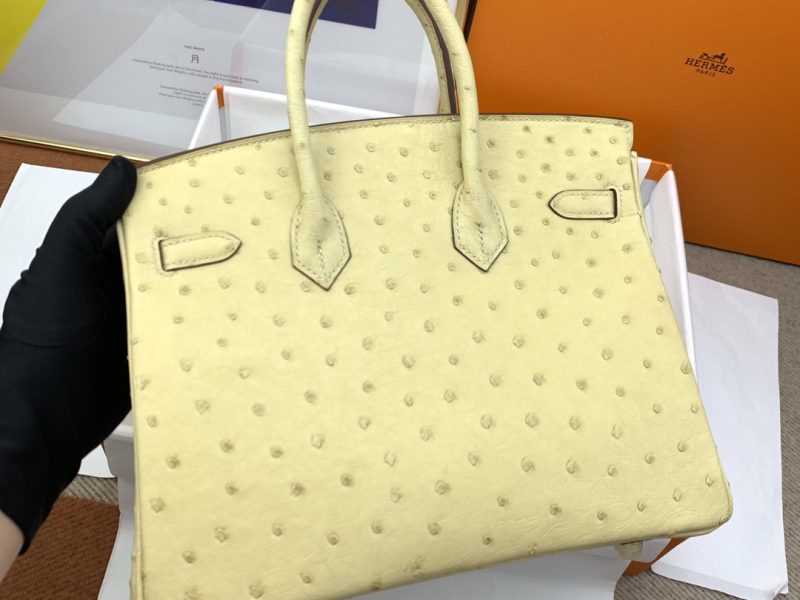 Hermès Birkin Bag Series-118