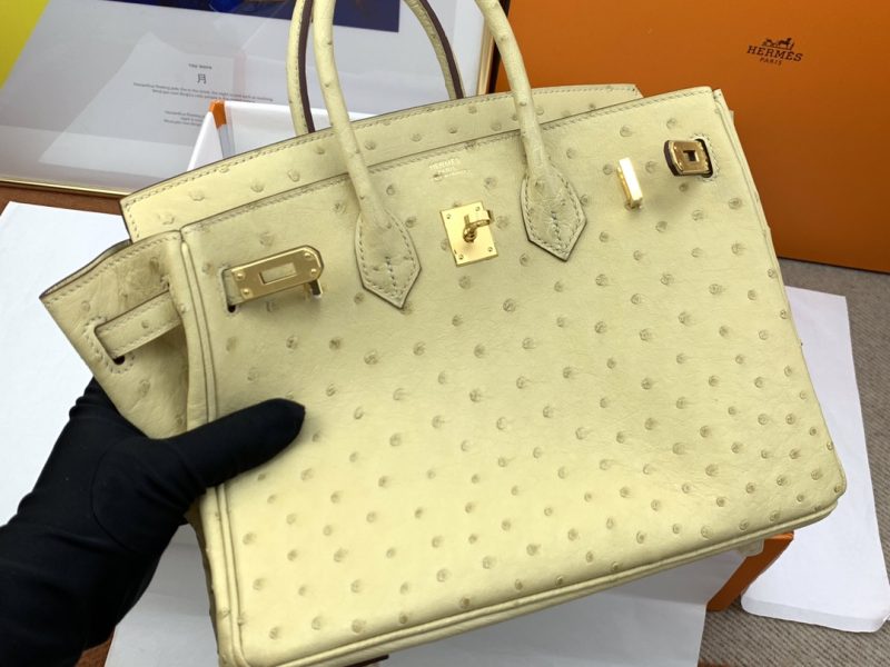 Hermès Birkin Bag Series-118