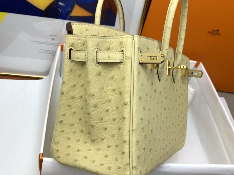 Hermès Birkin Bag Series-118