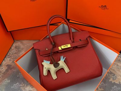 Hermès Birkin Bag Series-152