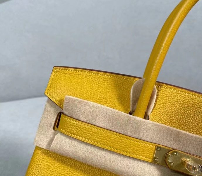 Hermès Birkin Bag Series-171