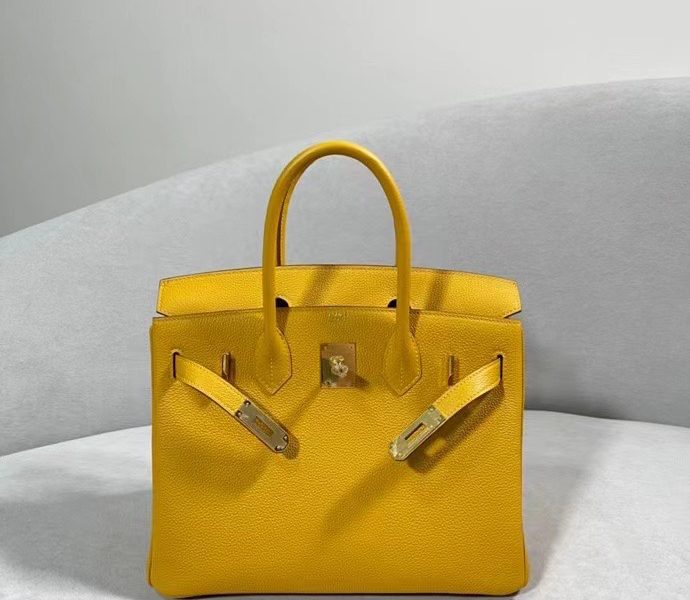 Hermès Birkin Bag Series-171