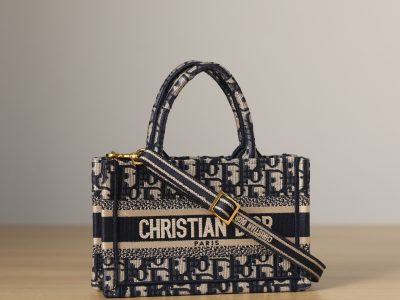 Dior Collection (factory direct shot)-s5573