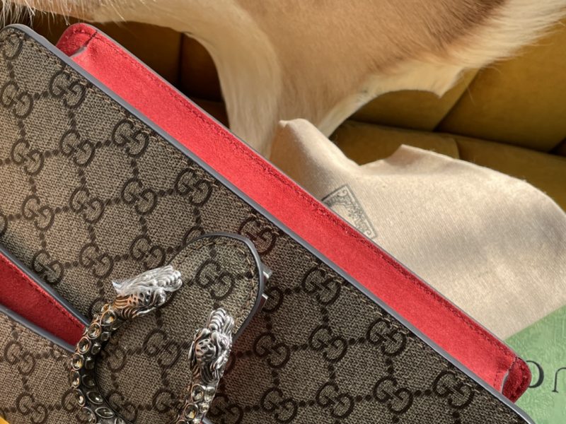 Gucci Series (Factory Direct Shot)-499623