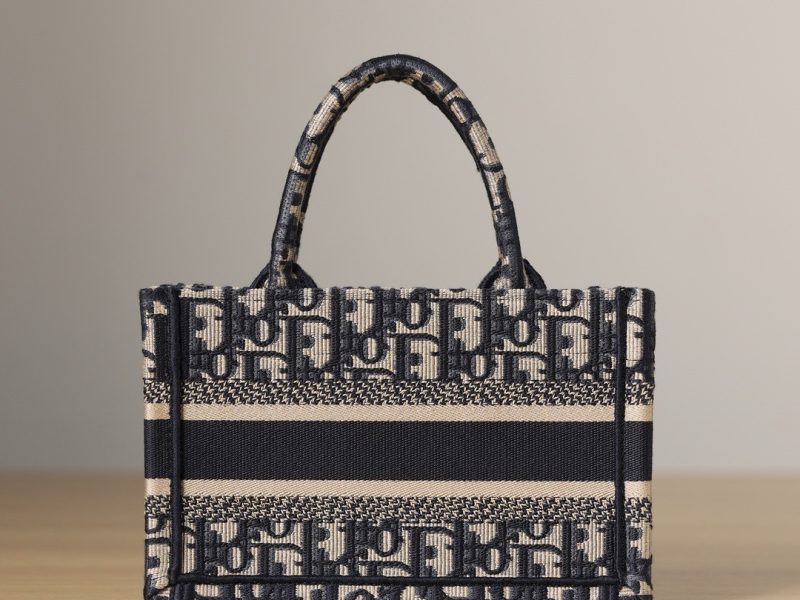 Dior Collection (factory direct shot)-s5573